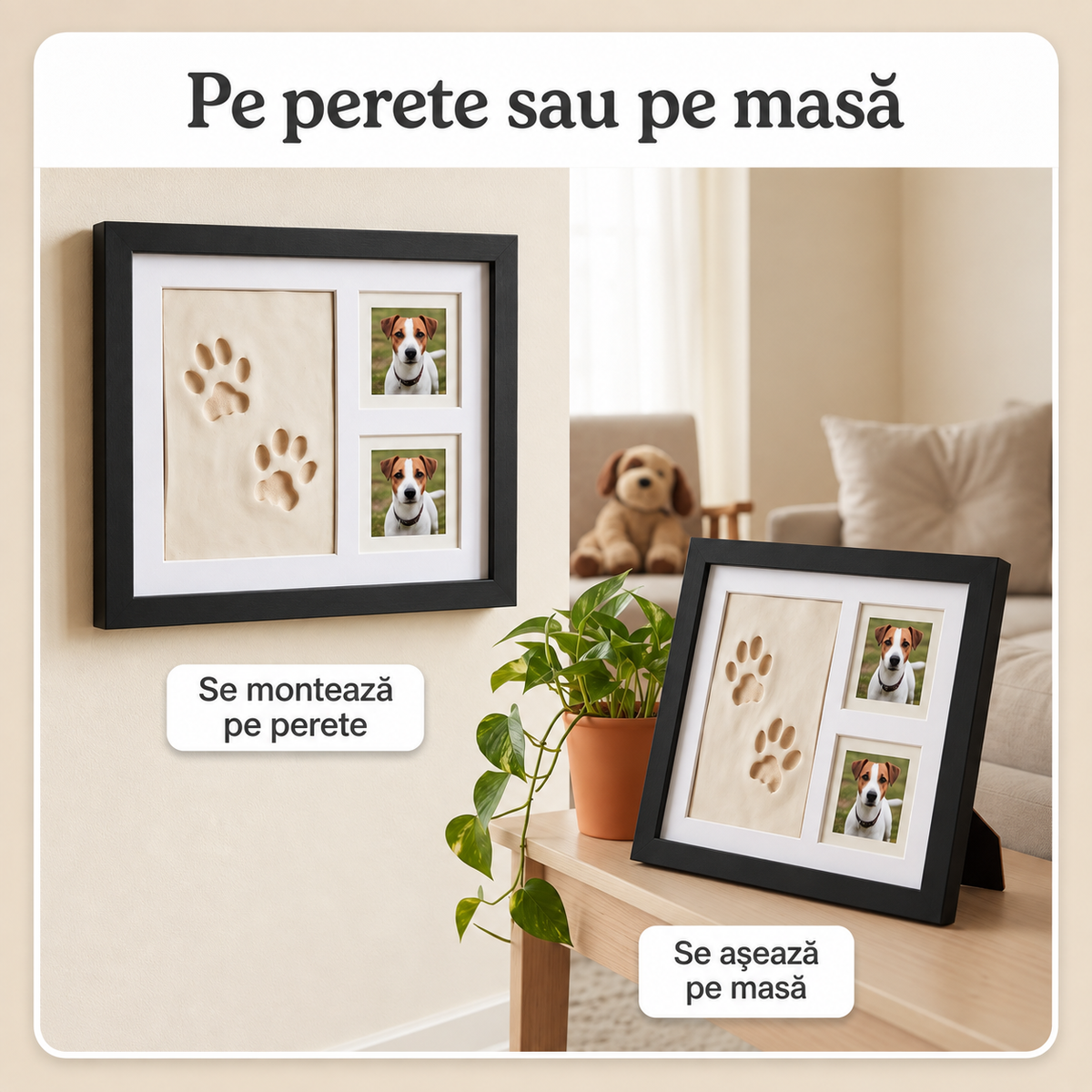Kit amprenta animalute